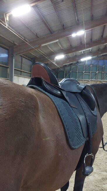 Sommer Dressursattel Novalis Monoblatt von 11/24 + Neupolsterung, Sommer Novalis Dressursattel Monoblatt, Anja Duldhardt, Dressage Saddle, Würzburg, Image 9
