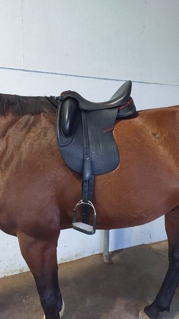 Sommer Dressursattel Novalis Monoblatt von 11/24 + Neupolsterung, Sommer Novalis Dressursattel Monoblatt, Anja Duldhardt, Dressage Saddle, Würzburg, Image 10