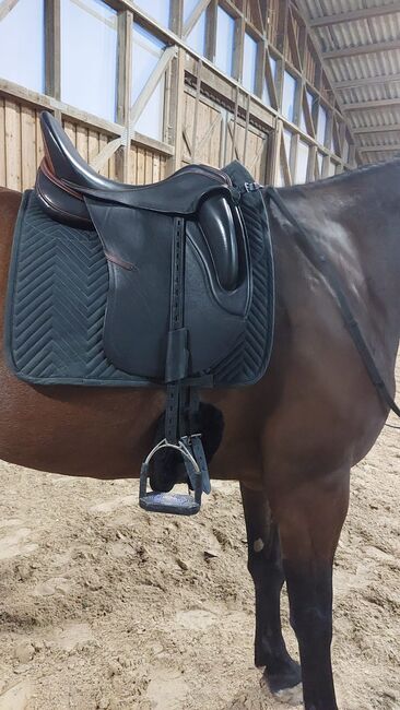 Sommer Dressursattel Novalis Monoblatt von 11/24 + Neupolsterung, Sommer Novalis Dressursattel Monoblatt, Anja Duldhardt, Dressage Saddle, Würzburg, Image 11