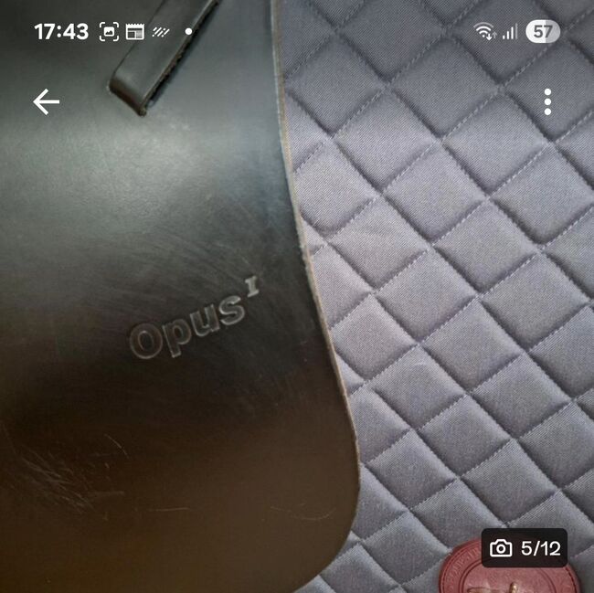Sommer Dressursattel Opus  1 18 Zoll  KW 33, Sommer  Dressur Opus 1, Birgit Rentschler , Dressage Saddle, Egenhausen, Image 5
