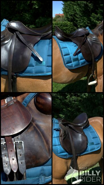 Sommer Othello Springsattel , reiten , Pferde , Reitsport, Sommer Othello, Jule, Jumping Saddle, Aschersleben, Image 8