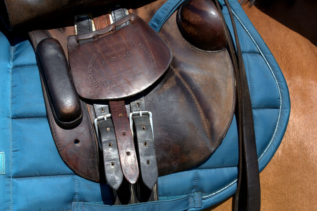 Sommer Othello Springsattel , reiten , Pferde , Reitsport, Sommer Othello, Jule, Jumping Saddle, Aschersleben, Image 4