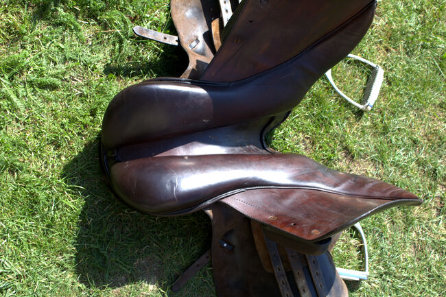 Sommer Othello Springsattel , reiten , Pferde , Reitsport, Sommer Othello, Jule, Jumping Saddle, Aschersleben, Image 7
