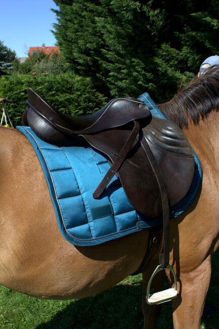 Sommer Othello Springsattel , reiten , Pferde , Reitsport, Sommer Othello, Jule, Springsattel, Aschersleben, Abbildung 6