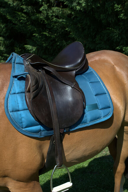 Sommer Othello Springsattel , reiten , Pferde , Reitsport, Sommer Othello, Jule, Springsattel, Aschersleben, Abbildung 5