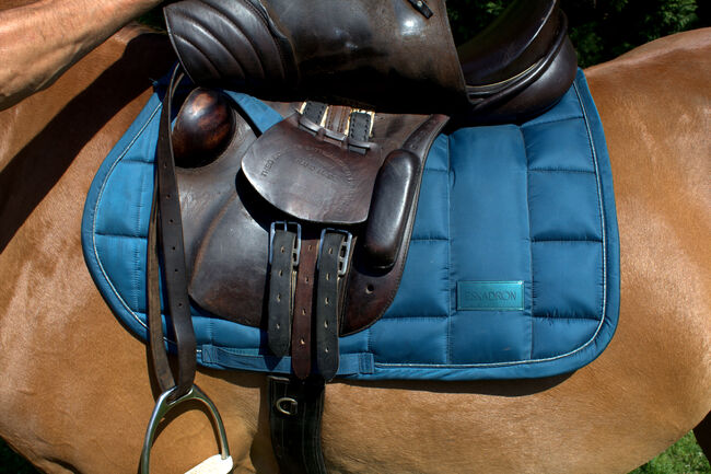 Sommer Othello Springsattel , reiten , Pferde , Reitsport, Sommer Othello, Jule, Springsattel, Aschersleben, Abbildung 2