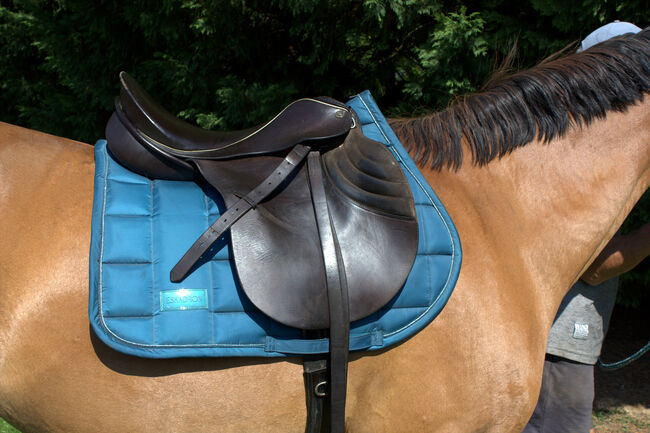 Sommer Othello Springsattel , reiten , Pferde , Reitsport, Sommer Othello, Jule, Springsattel, Aschersleben, Abbildung 3