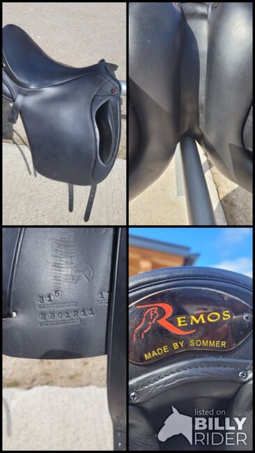 Sommer Remos X Cross Dressage, 17,5", KW 32,5, Sommer Remos X Cross Dressage, Erika Klien, Endurance Saddle, Innsbruck, Image 6