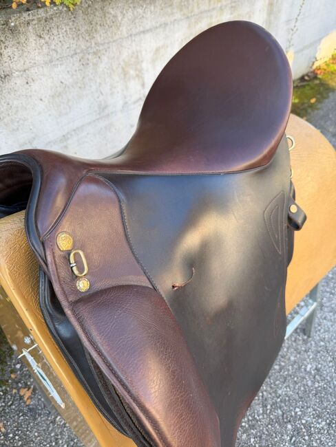 Sommer Salvadore Dressur und Gelände, Sommer  Salvadore, Beate Wittmann, Other Saddle, Philippsburg