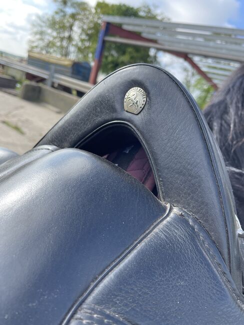 Sommer Spirit DS Dressursattel, Sommer  Spirit DS, Chris, Dressage Saddle, Berlin, Image 6
