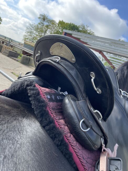 Sommer Spirit DS Dressursattel, Sommer  Spirit DS, Chris, Dressage Saddle, Berlin, Image 7