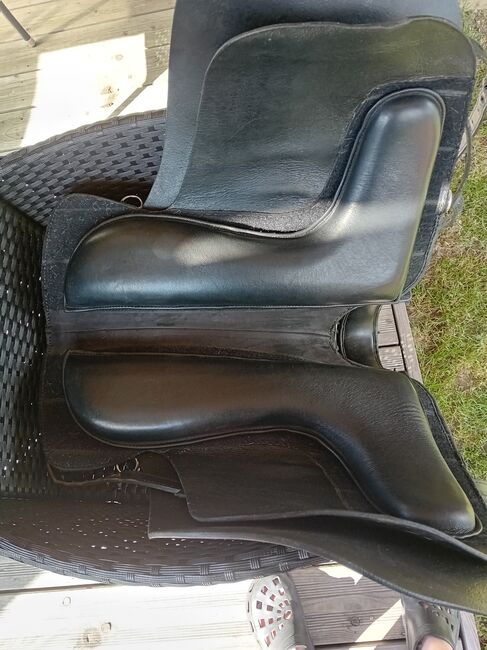 Sorenta Sattel Lederbaum, Sorenta, Alexandra , Treeless Saddle, Köllach, Image 3
