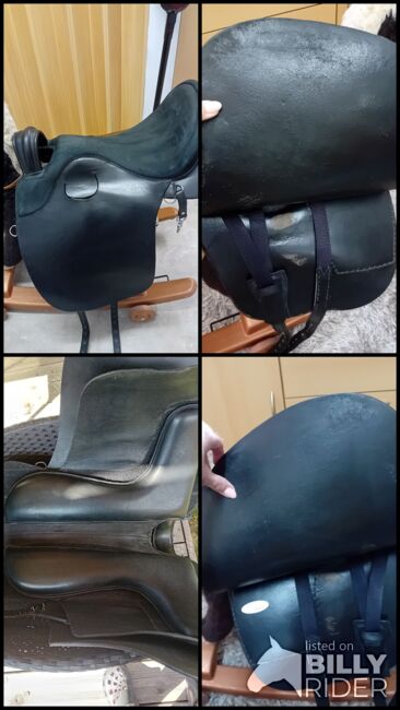 Sorenta Sattel Lederbaum, Sorenta, Alexandra , Treeless Saddle, Köllach, Image 10
