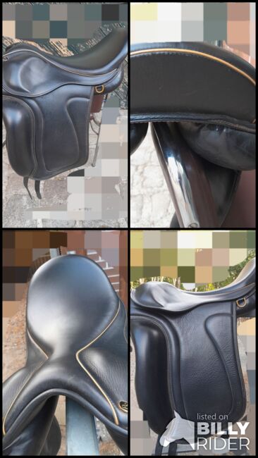 Sp ventur, G.B., Icelandic Saddle, Woltersdorf, Image 5