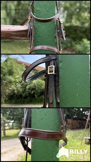 Spanische Trense braun in Warmblut mit goldenen Beschlägen, Lara , Bridles & Headstalls, Zolling, Image 4
