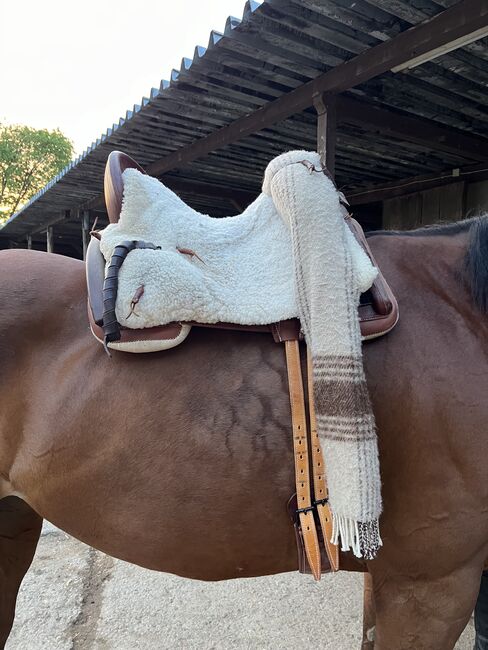 Spanischer Sattel, Zaldi  Vaquera Cabriola, Katharina Protz, Endurance Saddle, Bühl, Image 3