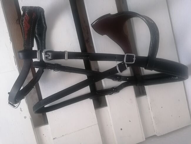 spanische Trense. Sonderanfertigung von The War Horse, The War Horse, Yvonne Klatt , Bridles & Headstalls, Dinslaken , Image 7