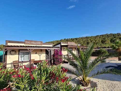 Spanien, Alicante, Monóvar - Sie träumen von einer gut eingeführten Pferde-Gäste-Ranch?, Sabine Wesseln, Maras World of Horses (Maras World of Horses, Maras World Solutions S.L.), Equestrian Properties, Monovar, Image 6