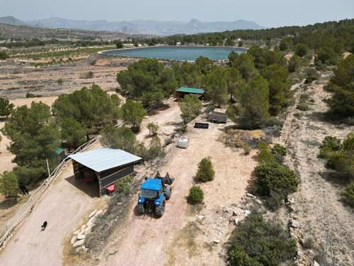 Spanien, Alicante, Monóvar - Sie träumen von einer gut eingeführten Pferde-Gäste-Ranch?, Sabine Wesseln, Maras World of Horses (Maras World of Horses, Maras World Solutions S.L.), Equestrian Properties, Monovar, Image 10