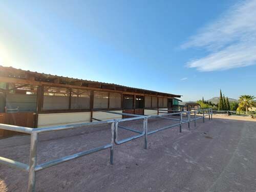 Spanien, Alicante, Monóvar - Sie träumen von einer gut eingeführten Pferde-Gäste-Ranch?, Sabine Wesseln, Maras World of Horses (Maras World of Horses, Maras World Solutions S.L.), Equestrian Properties, Monovar, Image 8