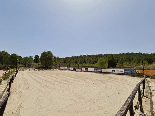 Spanien, Alicante, Monóvar - Sie träumen von einer gut eingeführten Pferde-Gäste-Ranch?, Sabine Wesseln, Maras World of Horses (Maras World of Horses, Maras World Solutions S.L.), Equestrian Properties, Monovar, Image 9