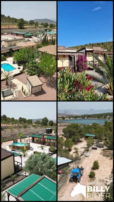 Spanien, Alicante, Monóvar - Sie träumen von einer gut eingeführten Pferde-Gäste-Ranch?, Sabine Wesseln, Maras World of Horses (Maras World of Horses, Maras World Solutions S.L.), Pferdeimmobilien, Monovar, Abbildung 11