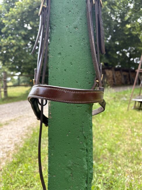 Spanische Trense braun in Warmblut mit goldenen Beschlägen, Lara , Bridles & Headstalls, Zolling, Image 3