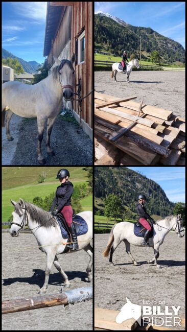 Spanische Cruzado Stute, Gabriele Reiter, Horses For Sale, Rauris, Image 5