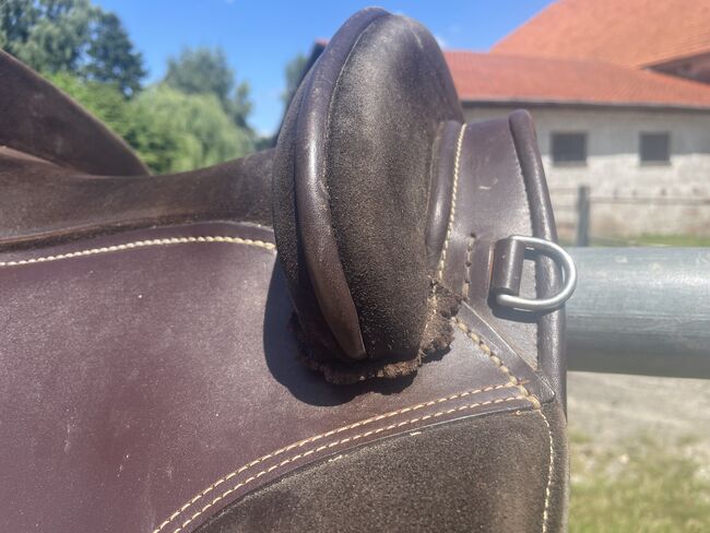 Spanischer Sattel Hidalgo Valencia, Hidalgo   Valencia Shorty, Mareike, Baroque Saddle, Friedland, Image 4