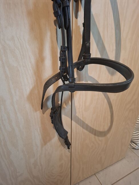 Spanische Trense, Diana Bock , Bridles & Headstalls, Monheim, Image 2