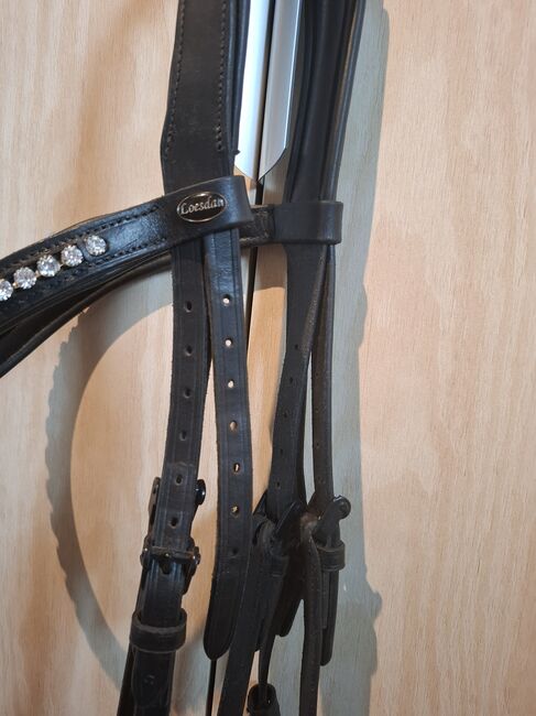 Spanische Trense, Diana Bock , Bridles & Headstalls, Monheim, Image 5