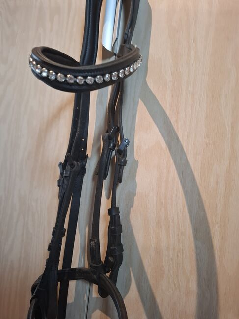 Spanische Trense, Diana Bock , Bridles & Headstalls, Monheim, Image 4
