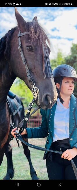 Spanische Trense Vaquero Trense, Mona Osting , Bridles & Headstalls, Oberhausen 