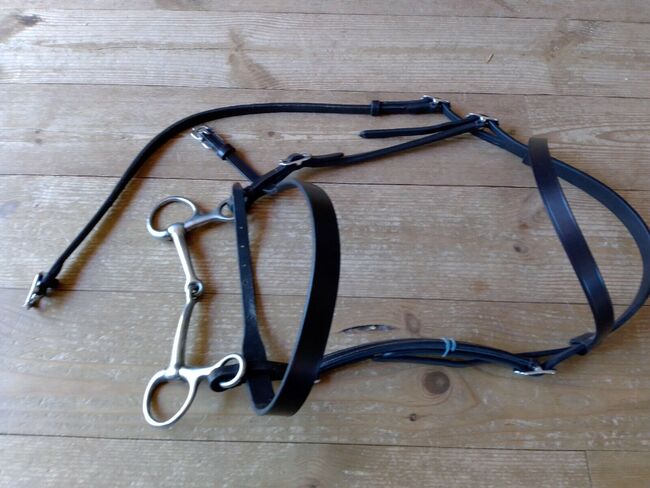 spanische Trense mit Bauchergebiß, - -, Dagmar, Bridles & Headstalls, Honigsee