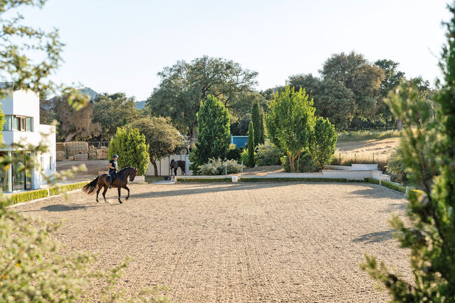 Spanien, Andalusien, Ronda - moderner Reitstall/ Trainingszentrum zu verkaufen!, Sabine Wesseln, Maras World of Horses (Maras World of Horses, Maras World Solutions S.L.), Equestrian Properties, Ronda , Image 4