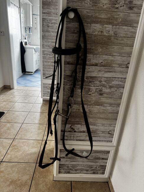 Tense Gr. Cob, Star , Celine Baum, Bridles & Headstalls, Taunusstein 