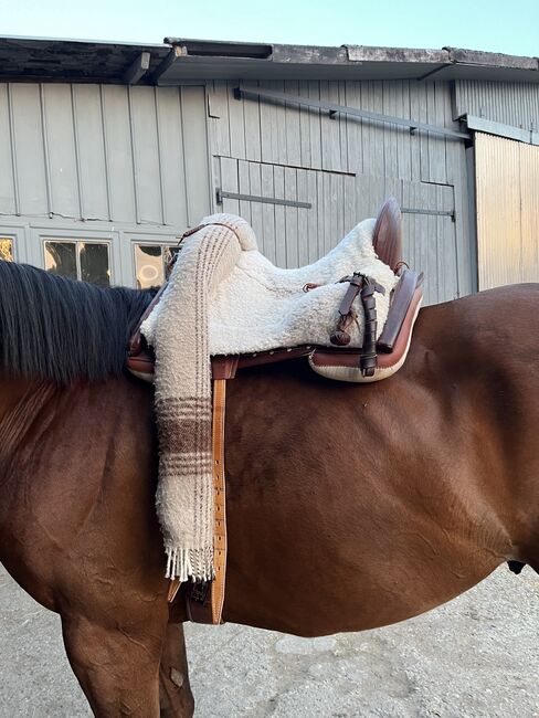 Spanischer Sattel, Zaldi  Vaquera Cabriola, Katharina Protz, Endurance Saddle, Bühl