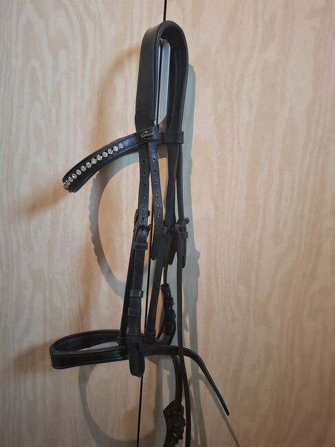 Spanische Trense, Diana Bock , Bridles & Headstalls, Monheim, Image 6