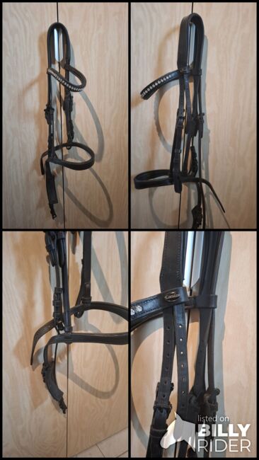 Spanische Trense, Diana Bock , Bridles & Headstalls, Monheim, Image 7