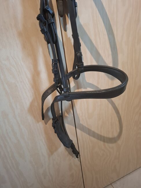 Spanische Trense, Diana Bock , Bridles & Headstalls, Monheim, Image 3