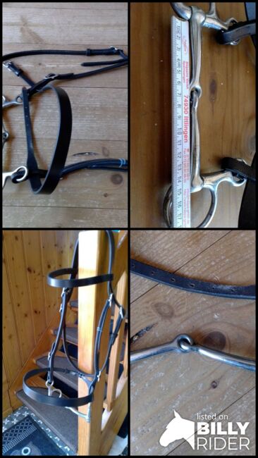 spanische Trense mit Bauchergebiß, - -, Dagmar, Bridles & Headstalls, Honigsee, Image 8