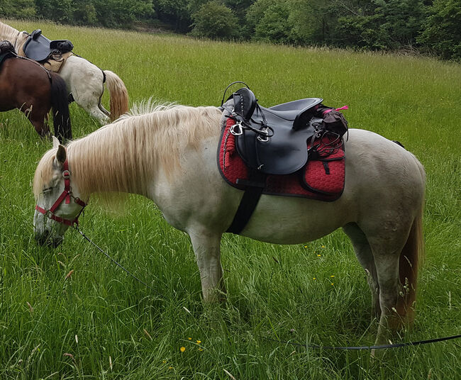 spanischer Zaldi Mixta Sattel, Zaldi Mixta, Andrea, Baroque Saddle, Rutsweiler am Glan