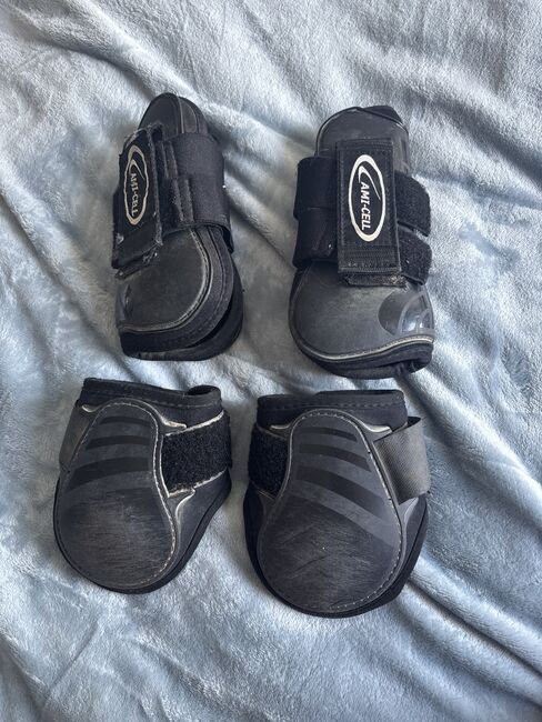 Gamaschen Pony, AMI-CELL, Julika , Tendon Boots, Dannenberg