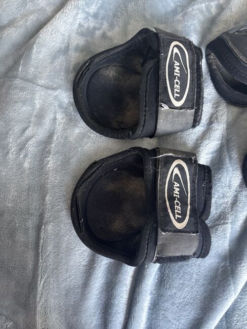 Gamaschen Pony, AMI-CELL, Julika , Tendon Boots, Dannenberg, Image 3
