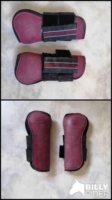 Gamaschen, rot, Gr Cob, Showmaster, S. Helms, Tendon Boots, Ruppertsweiler, Image 3