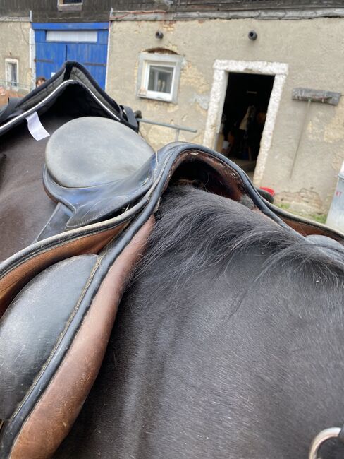 Speingsattel, Stübben Siegfried, Lea Sarfert, Jumping Saddle, Lichtenau 