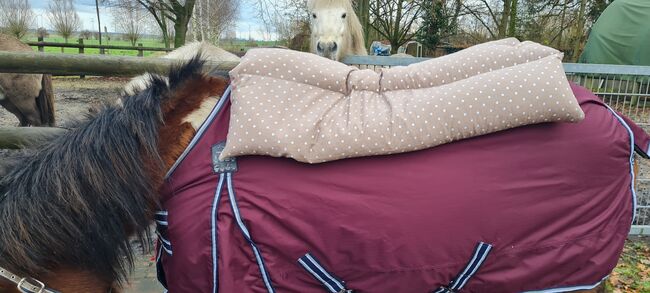 Dinkelspelzkissen, Martina Holz, Horse Blankets, Sheets & Coolers, Nauen/ OT Markee