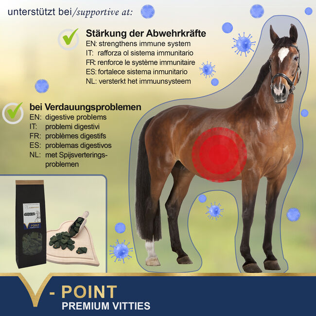 SPIRULINA – Premium Vitties für Pferde, V-POINT VP-PF-SPIR-500-1, V-POINT premium pet food GmbH, Horse Feed & Supplements, Hausmannstätten, Image 2