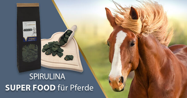 SPIRULINA – Premium Vitties für Pferde, V-POINT VP-PF-SPIR-500-1, V-POINT premium pet food GmbH, Horse Feed & Supplements, Hausmannstätten, Image 4