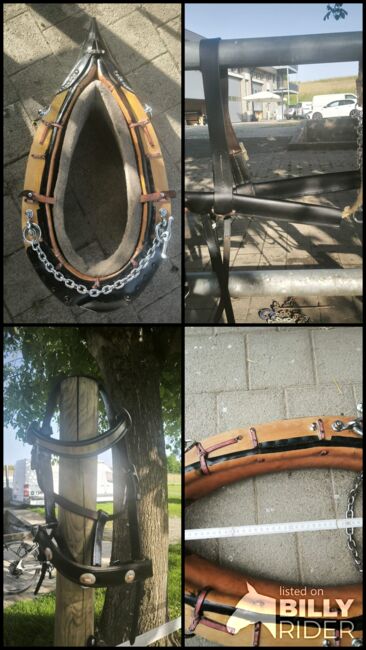 Spitzkumt, Komplettset zum Holzrücken, Gina, Horse Harness, Rümlang, Image 7